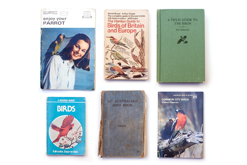 JW Field Guide